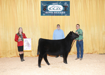 Reserve Fall Heifer Calf Champion