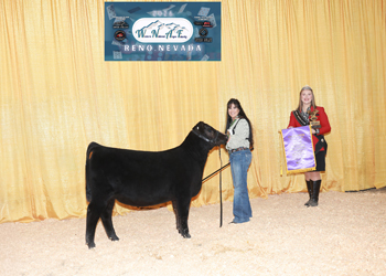 Fall Heifer Calf Champion