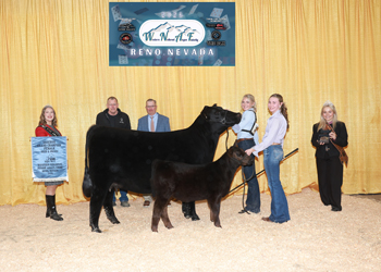 Reserve Grand Champion Bred-and-owned Female