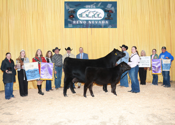 Grand Champion PGS Female