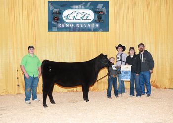PGS Heifer Division 2