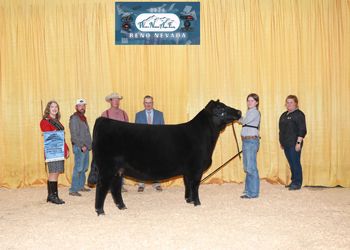 Owned Reserve Intermediate Champion Heifer