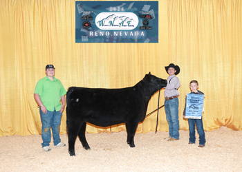 PGS Reserve Heifer Division 2