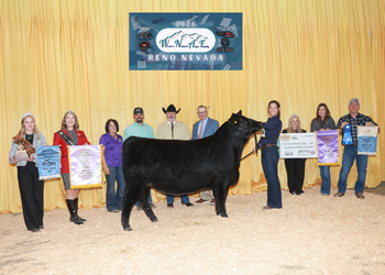 Reserve Grand Champion PGS Female