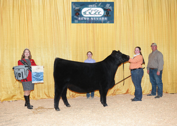 Owned Senior Heifer Calf Champion