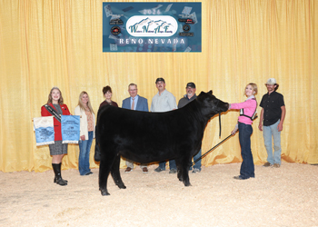 Fifth Overall Bred-and-owned Champion Female