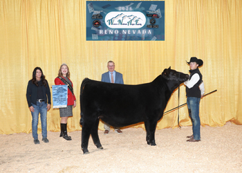 Bred-and-owned Reserve Senior Heifer Calf Champion
