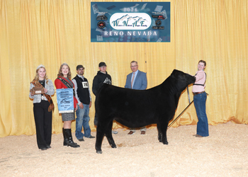 PGS Reserve Heifer Division 1