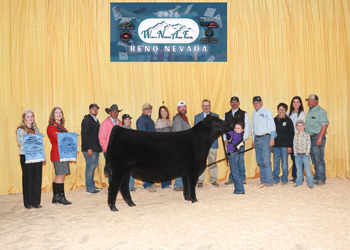 Fifth Overall Owned Champion Female