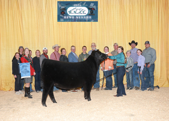 Third Overall Owned Champion Female