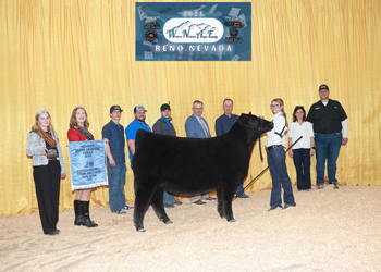 Reserve Grand Champion Owned Female