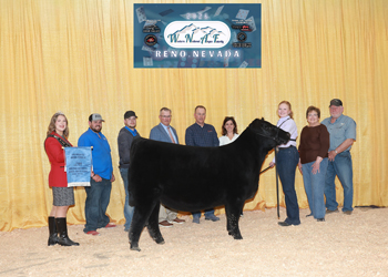 Fourth Overall Owned Champion Female