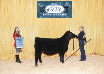 Bred-and-owned Reserve Summer Heifer Calf Champion