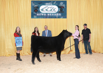 Fourth Overall Bred-and-owned Champion Female