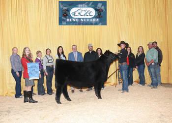 Third Overall Bred-and-owned Champion Female