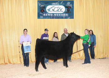 Owned Summer Heifer Calf Champion