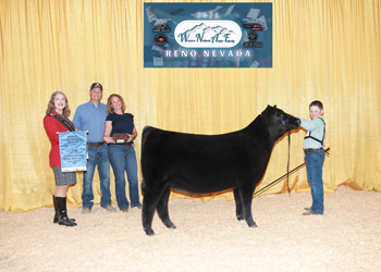 Owned Reserve Summer Heifer Calf Champion