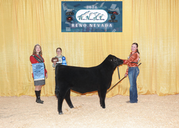 Bred-and-owned Reserve Fall Heifer Calf Champion