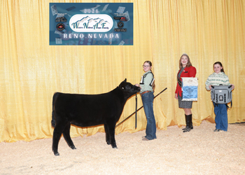 Owned Fall Heifer Calf Champion