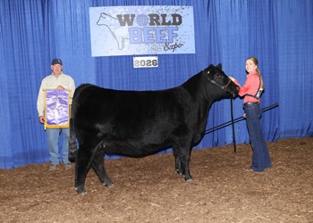 Senior Champion Female