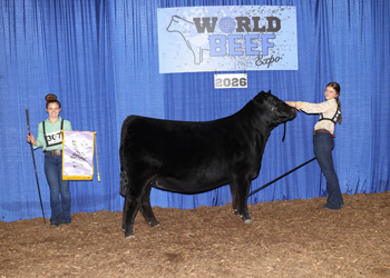 Reserve Junior Champion Heifer
