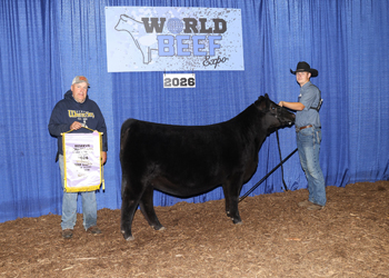 Reserve Senior Heifer Calf Champion