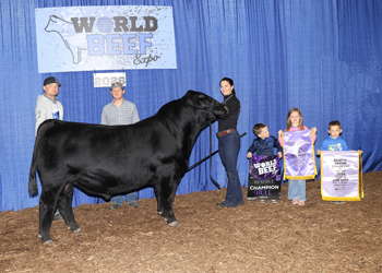 Reserve Grand Champion Bull