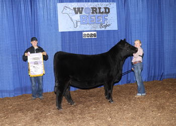 Reserve Intermediate Champion Heifer