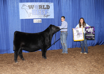 Reserve Grand Champion Female