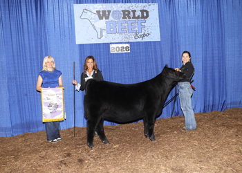 Reserve Junior Heifer Calf Champion