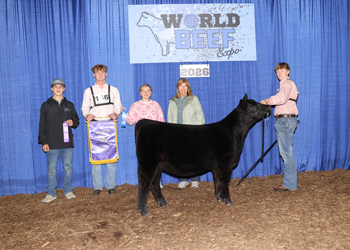 Junior Heifer Calf Champion