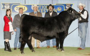 Res Grand Champion